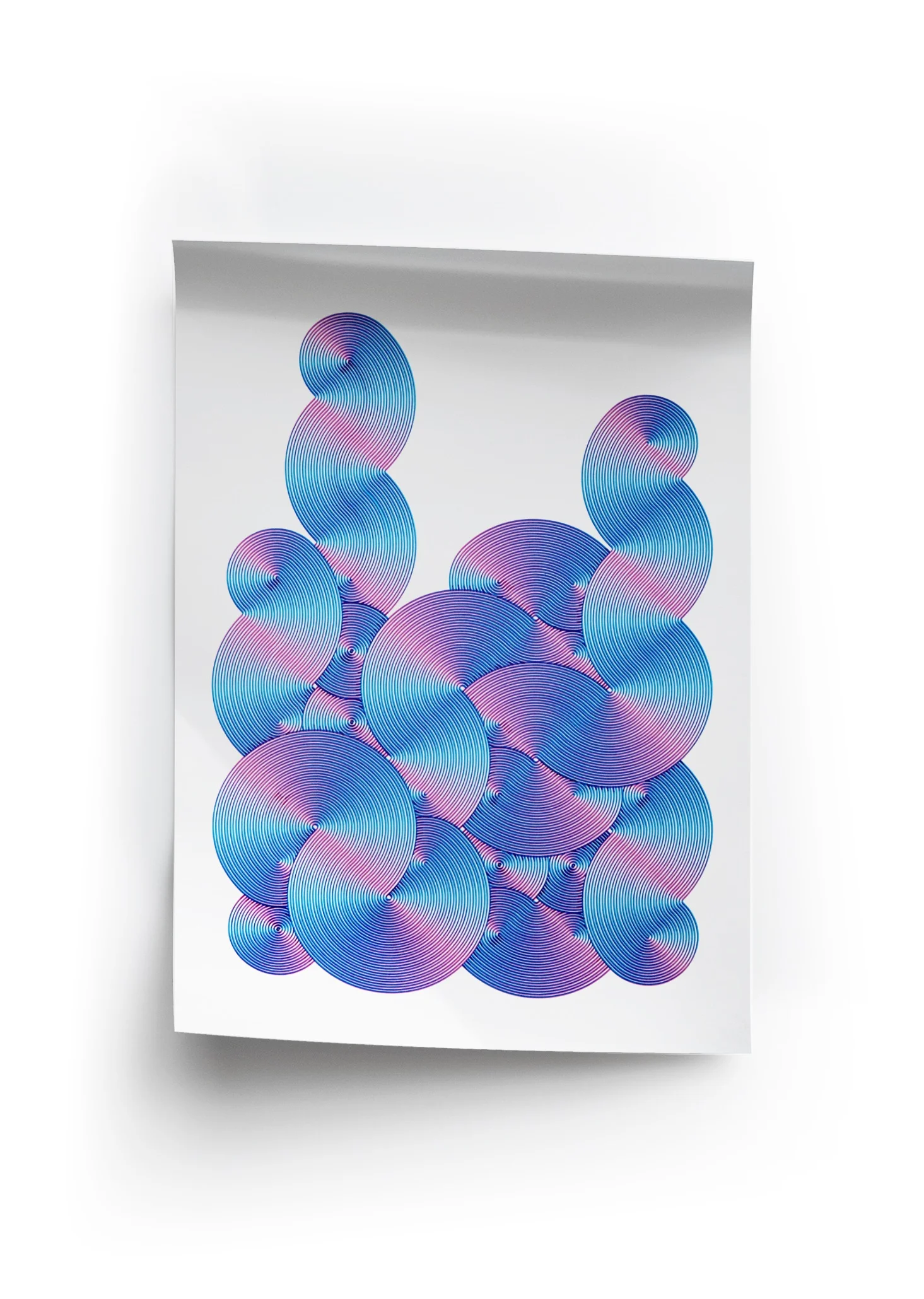Amoeba