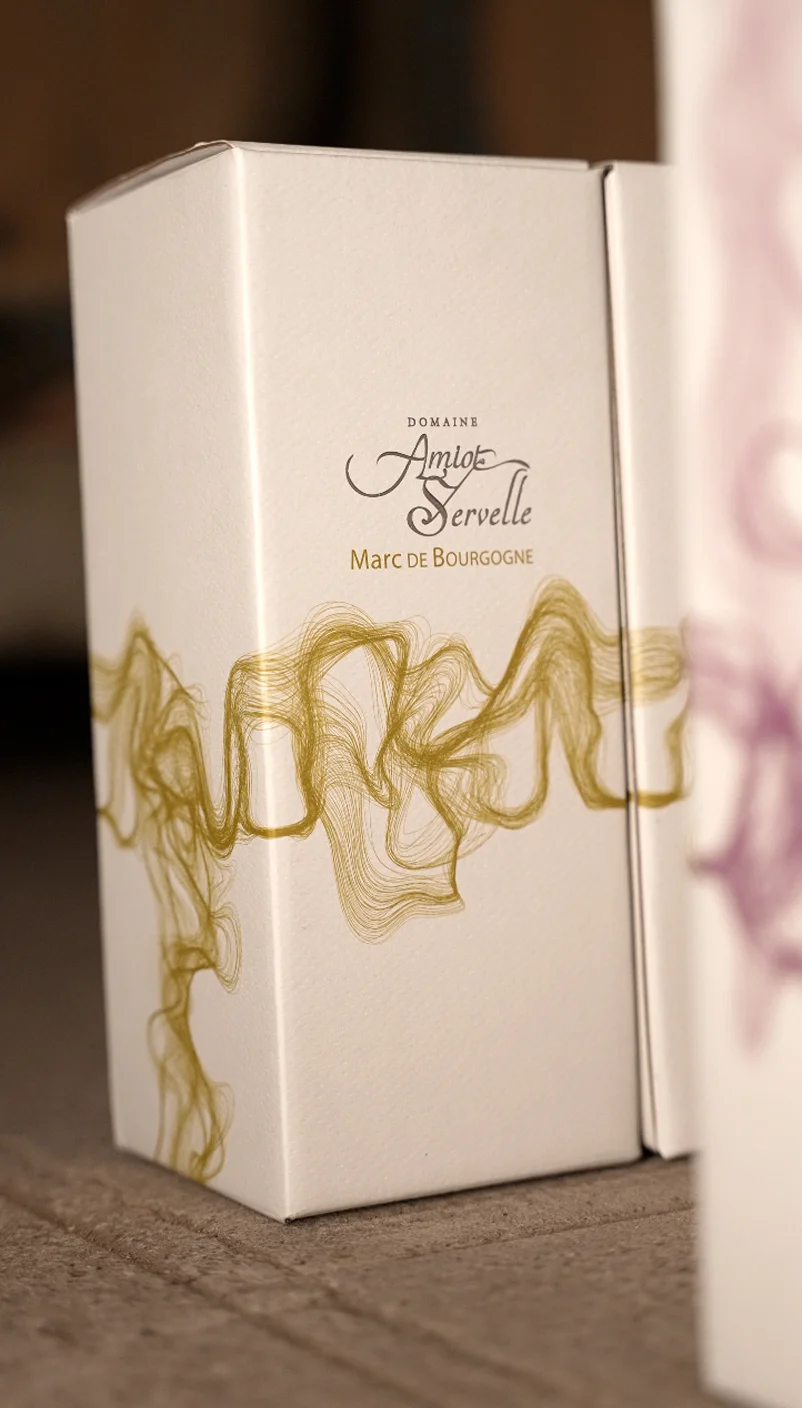 Design visualization